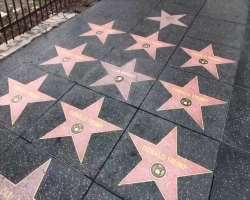 The place is rooted with the collection of above than 2,500 stars on the walkway. The place is always crowded with people exploring stars of their fav